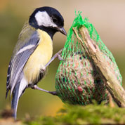 Distribuidor de bolas de grasa para Pájaros